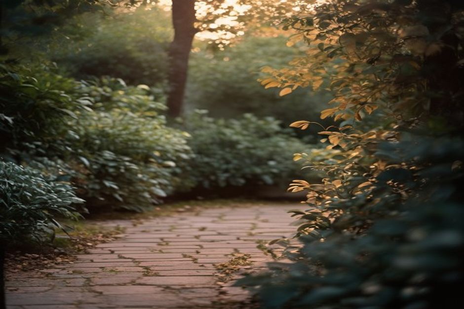 Calming nature element Peaceful garden at twilight with soft foliage and natural shadows